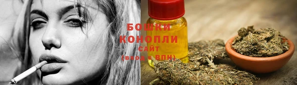 гидра Шали