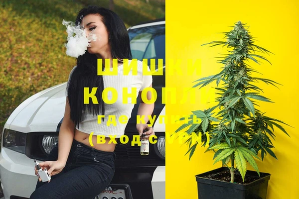 гидра Шали