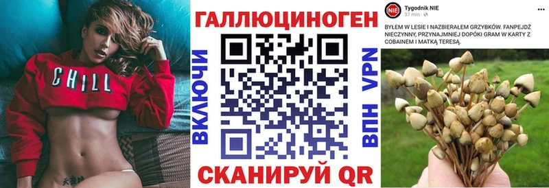 Купить закладки  Солигалич  Псилоцибиновые грибы MAGIC MUSHROOMS 